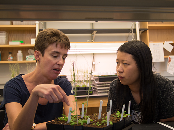 A female professor speaks with a student while pointing to a container of budding plants.